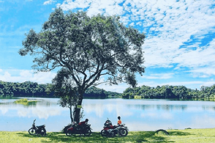 Tràng Cỏ Bàu Lạch Thue Xe 7 Cho Du Lich Binh Phuoc 2