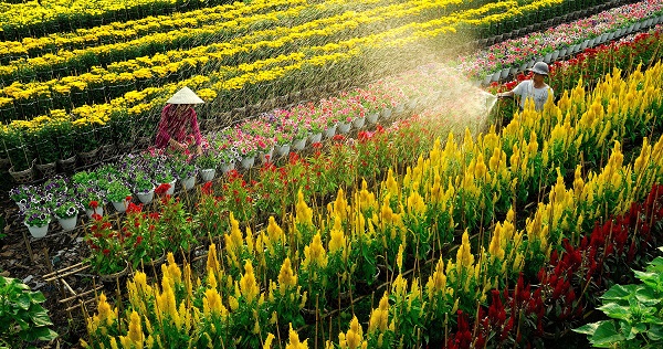 Du lịch miền Tây nên đi đâu? Di chuyển như thế nào?
